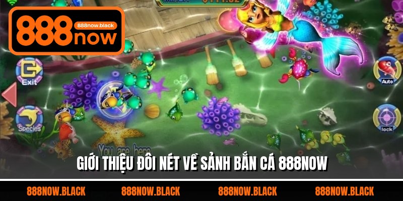 Giới thiệu đôi nét về sảnh bắn cá 888now
