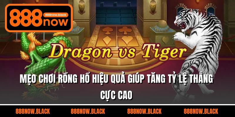 Mẹo Chơi Rồng Hổ Hiệu Quả Giúp Tăng Tỷ Lệ Thắng Cực Cao