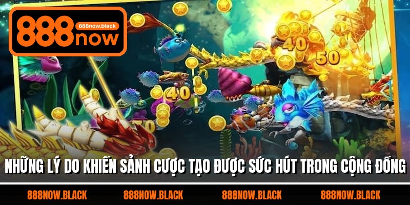 Những lý do khiến sảnh cược tạo được sức hút trong cộng đồng